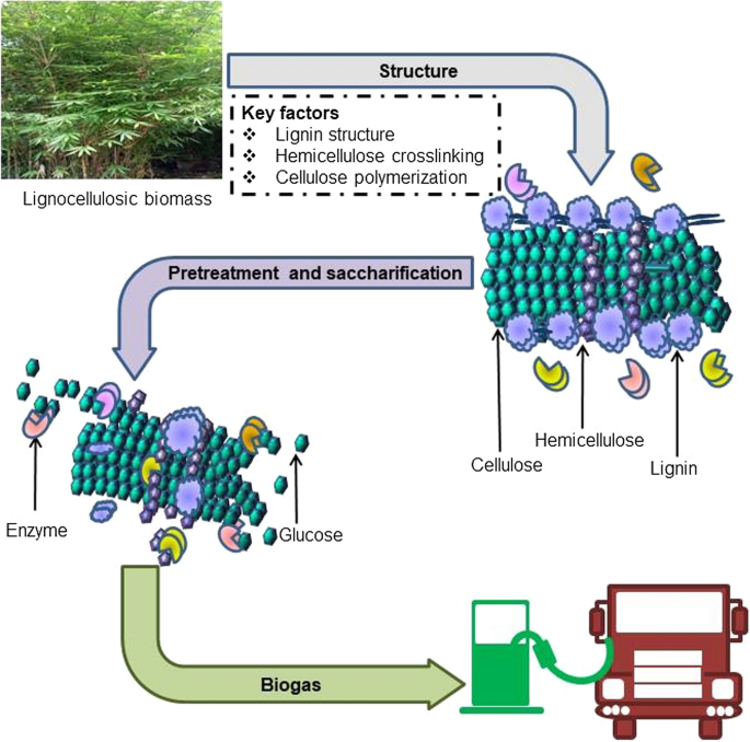 A Comprehensive Review On The Pretreatment Of Lignocellulosic Wastes For Improved Biogas Production By Anaerobic Digestion Springerlink
