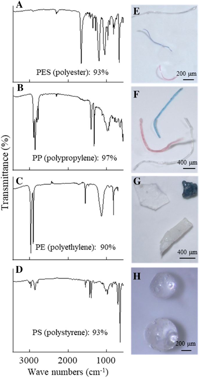 Brazilian group presents novel method of analyzing microplastic