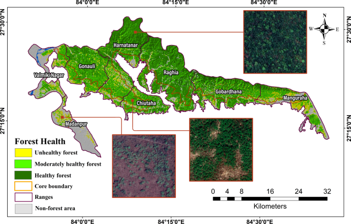 Assessing forest health using remote sensing-based indicators and fuzzy  analytic hierarchy process in Valmiki Tiger Reserve, India | SpringerLink