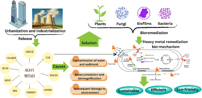 bioremediation of heavy metals by bacteria research paper