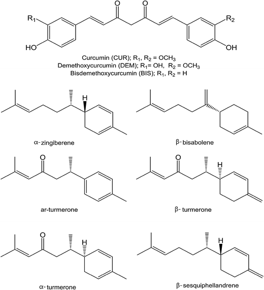 Levels Of Curcuminoid And Essential Oil Compositions In Turmerics Curcuma Longa L Grown In Korea Applied Biological Chemistry Full Text