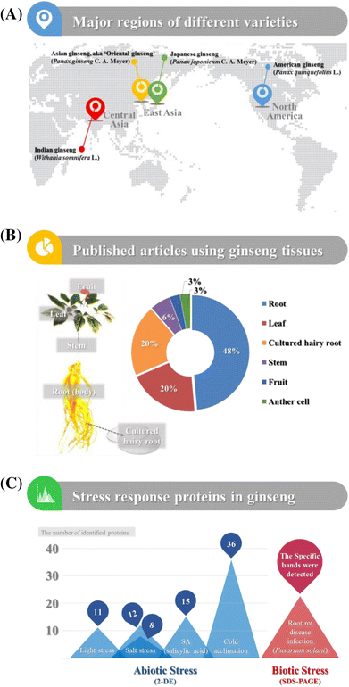Ginseng Panax Sp Proteomics An Update Applied Biological Chemistry Full Text Ginseng Panax Sp Proteomics An Update Applied Biological Chemistry Full Text
