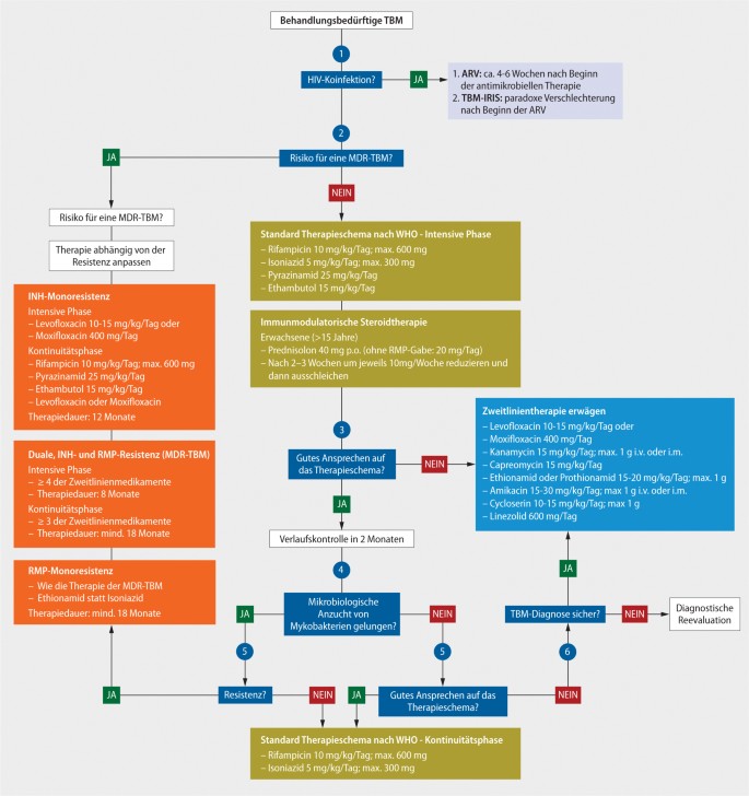 die behandlung der tuberkulosen meningitis bei erwachsenen