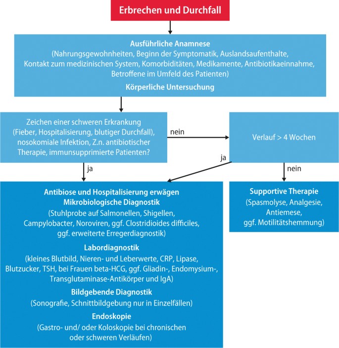 Ich habe Durchfall und Erbrechen“ | SpringerLink