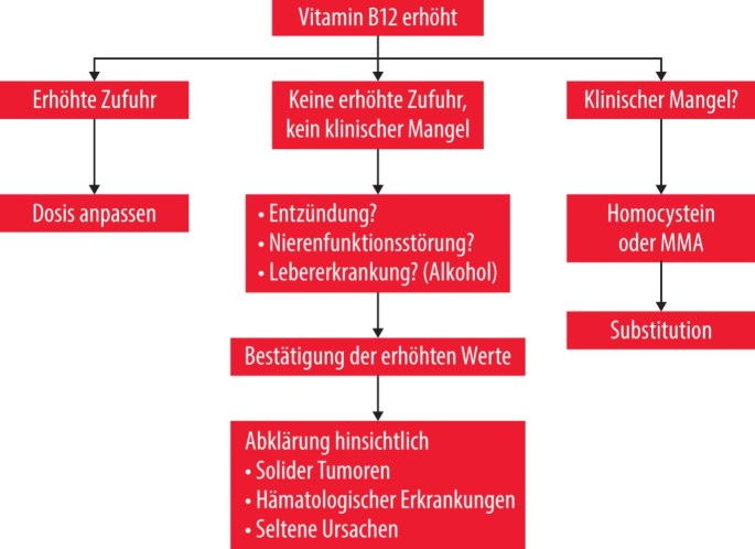 Erhöhte Vitamin-B12-Spiegel | SpringerLink