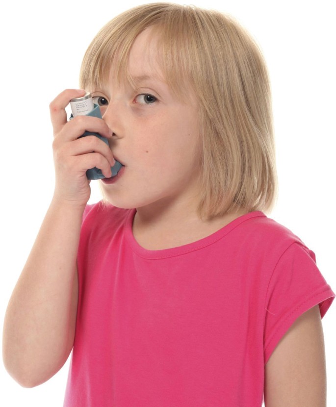 Neue Ergebnisse der GAP-Studie bestätigen: SIT beugt Asthma vor |  SpringerLink