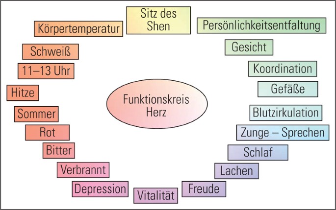 Das Element Feuer Der Funktionskreis Herz Springerlink