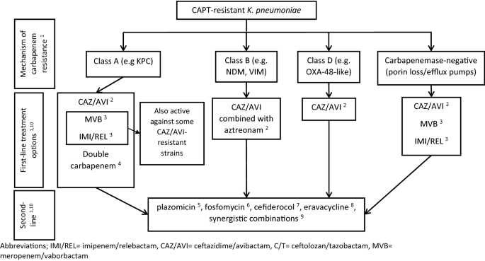 Treatment Options For K Pneumoniae P Aeruginosa And A Baumannii Co Resistant To Carbapenems Aminoglycosides Polymyxins And Tigecycline An Approach Based On The Mechanisms Of Resistance To Carbapenems Springerlink