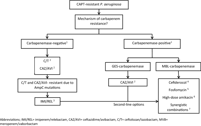 Treatment Options For K Pneumoniae P Aeruginosa And A Baumannii Co Resistant To Carbapenems Aminoglycosides Polymyxins And Tigecycline An Approach Based On The Mechanisms Of Resistance To Carbapenems Springerlink