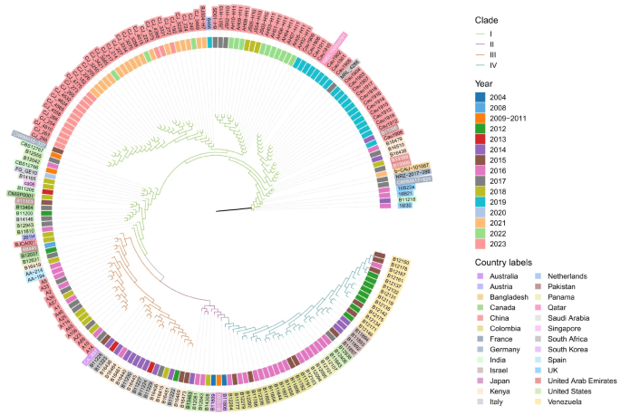 Two outbreaks and sporadic occurrences of Candida auris from one ...