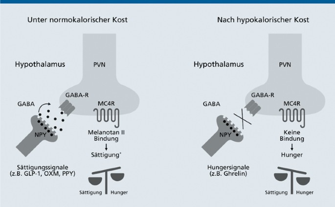 melanotan 2 erhaltungsdosis erfahrungen Die Risiken von Melanotan