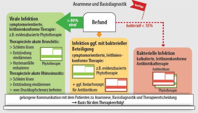 Therapiealgorithmus bei Atemwegsinfekt | SpringerLink