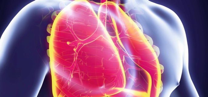 Chronisch Thromboembolische Pulmonale Hypertonie Springerlink
