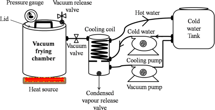 Full article: Selection of optimal ripening stage of papaya fruit (Carica  papaya L.) and vacuum frying conditions for chips making