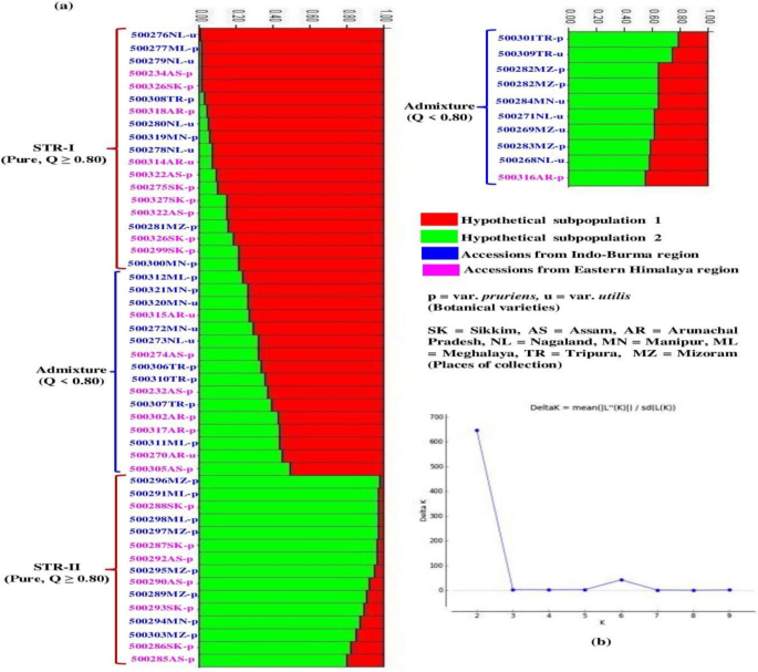 Variability For Seed Based Economic Traits And Genetic Diversity Analysis In Mucuna Pruriens Population Of Northeast India Springerlink