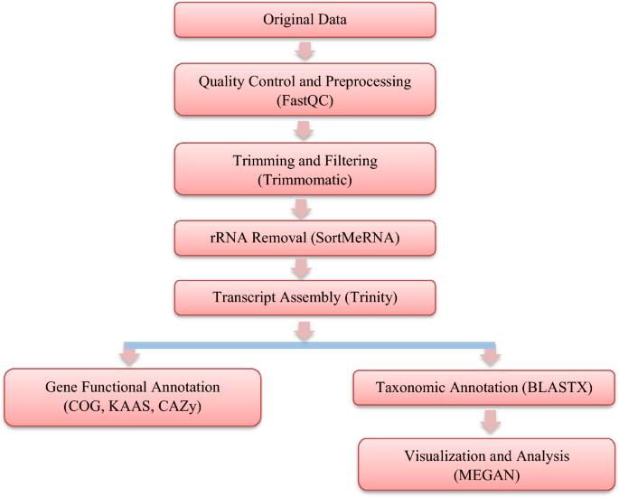 Comparative Metatranscriptomics of Rhizosphere Microbiomes in Survived ...