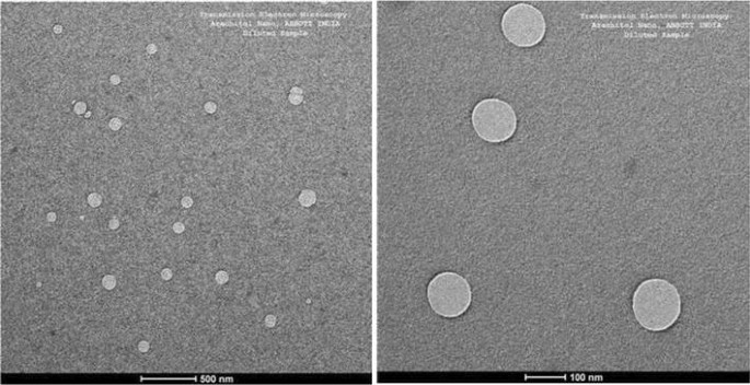 Ex Vivo Absorption Study Of A Nanoparticle Based Novel Drug