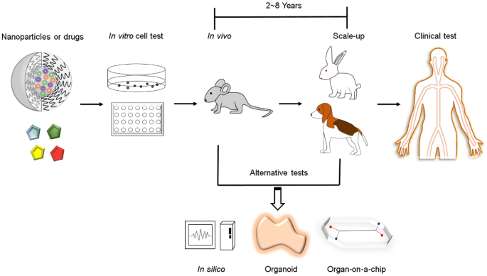 Replacement techniques to reduce animal experiments in drug and  nanoparticle development | SpringerLink