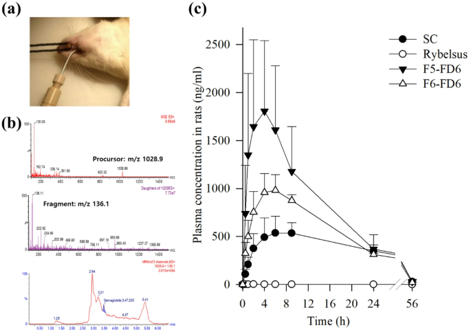 freeze dried semaglutide Development of a novel semaglutide-loaded dry powder inhaler: application  of freeze-drying and Pharmacokinetic evaluation in rats | Journal of  Pharmaceutical Investigation