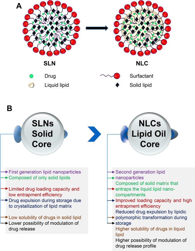 Nlc Types Application of nanostructured lipid carriers for transdermal drug ...