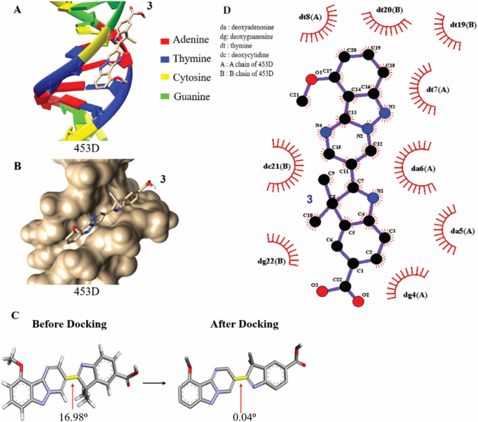 In Vitro and Computational Studies of IndoleninylPyrimido[1,2b