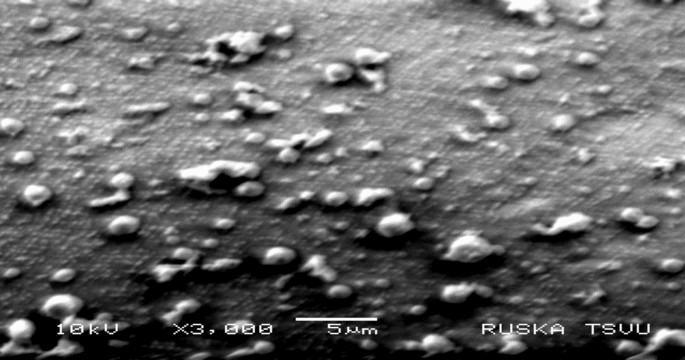 Characterization and Field Evaluation of Anomis sabulifera ...