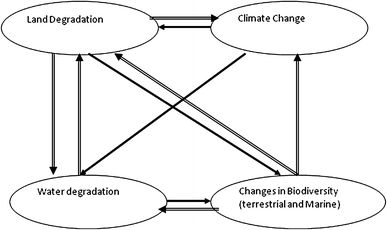 Sustainable Management Of Biodiversity In The Context Of Climate Change Issues Challenges And Response Springerlink