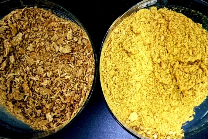 Phellodendron Amurense Extract description