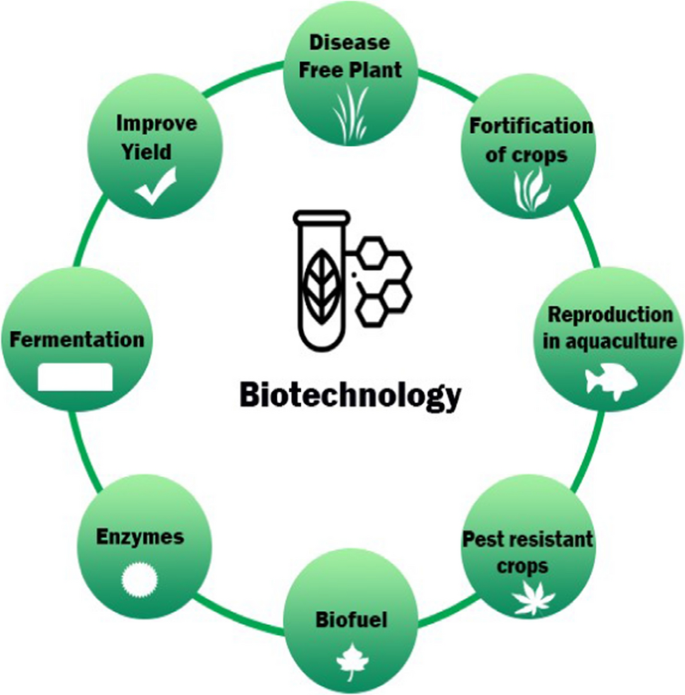 Applications of Biotechnology in Food and Agriculture: a Mini-Review | SpringerLink Applications of Biotechnology in Food and Agriculture: a Mini-Review | SpringerLink