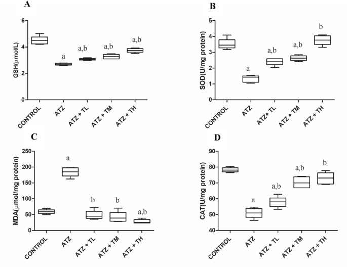 Testosterone Prevents atrazine-Induced Oxidative Damage, Inflammation and  Histologic Changes in the Testes of Young Mature Rats | Proceedings of the  National Academy of Sciences, India Section B: Biological Sciences |  Springer Nature