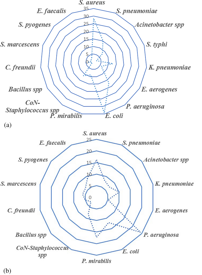 Antibiotic Resistance Profile, Multidrug, Extensively drug, and