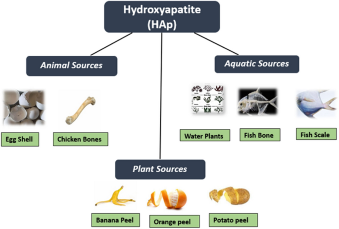 An Overview on the Utilization of Hydroxyapatite from Fish Wastes: A ...