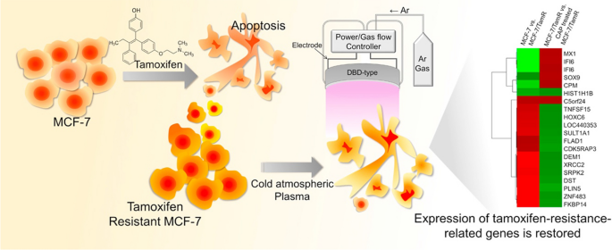 figure 29