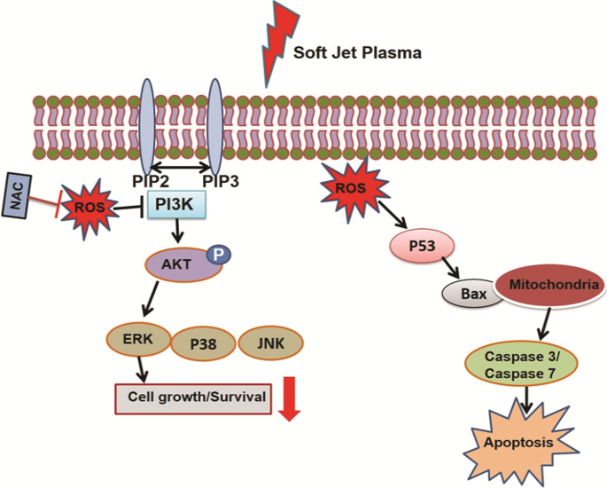 figure 30