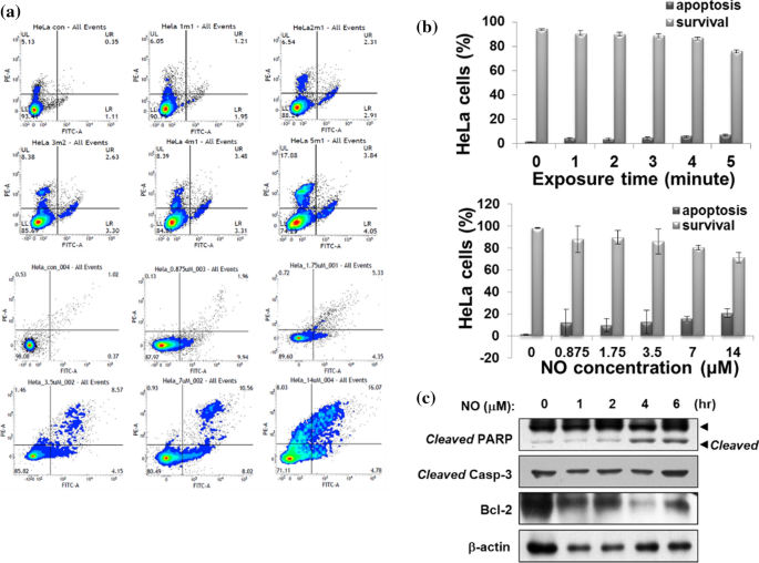 figure 31