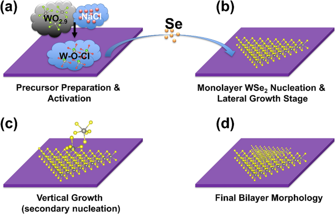 High-yield synthesis of bilayer WSe2 with enhanced carrier mobility via ...