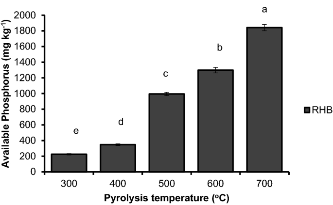 Change In Nutrient Composition Of Biochar From Rice Husk And Sugarcane Bagasse At Varying Pyrolytic Temperatures Springerlink