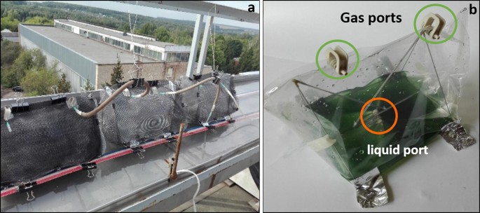 Plastic bags as simple photobioreactors for cyanobacterial hydrogen  production outdoors in Moscow region | SpringerLink