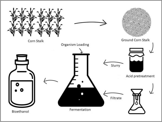 Efficient conversion of cornstalk to bioethanol using dilute H2SO4  pretreatment | SpringerLink