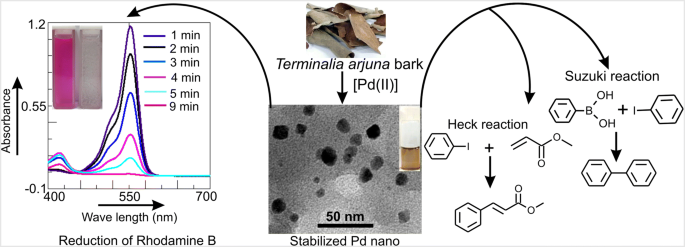 Green synthesis of Terminalia arjuna- conjugated palladium nanoparticles  (TA-PdNPs) and its catalytic applications | SpringerLink