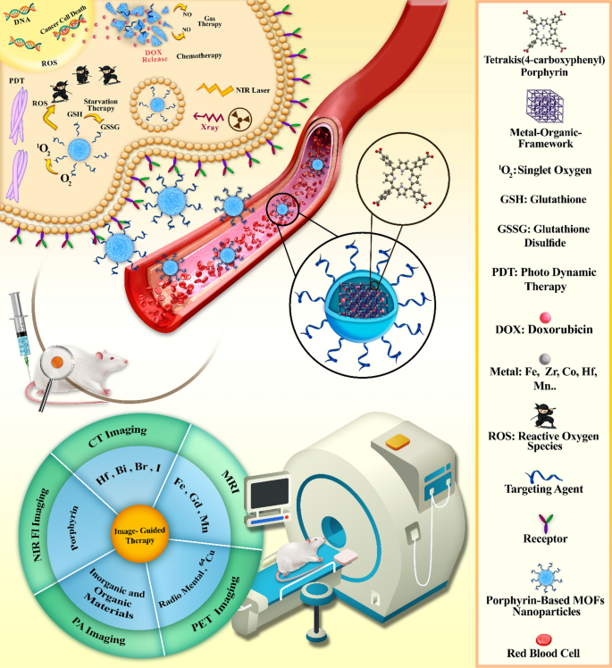 Organic–Inorganic Porphyrinoid Frameworks for Biomolecule Sensing