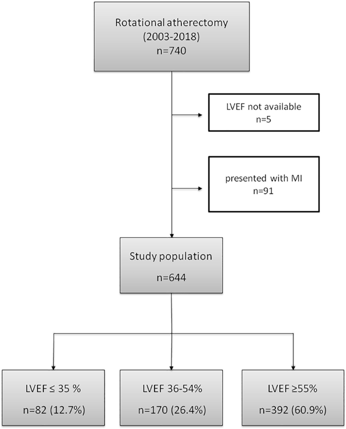 Acute And Long Term Outcomes Of Patients With Impaired Left Ventricular Systolic Function Undergoing Rotational Atherectomy A Single Center Observational Retrospective Study Springerlink