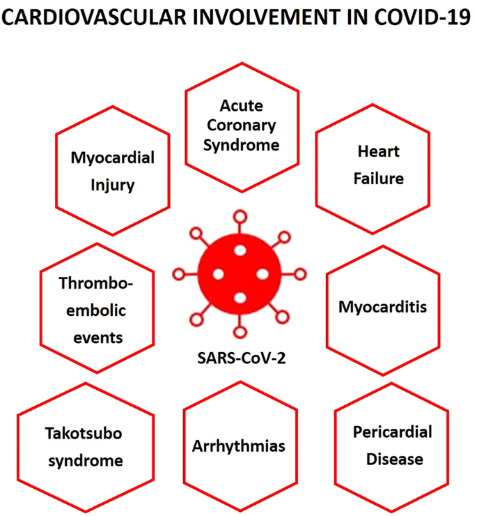 Left ventricular global longitudinal strain in low cardiac risk outpatients  who recently recovered from coronavirus disease 2019