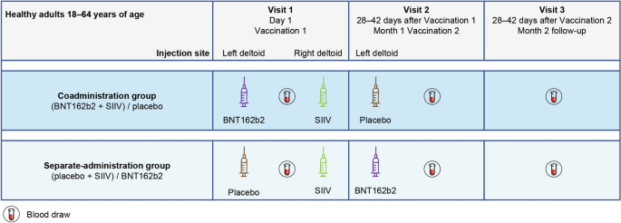 Timing and sequence of vaccination against COVID-19 and influenza