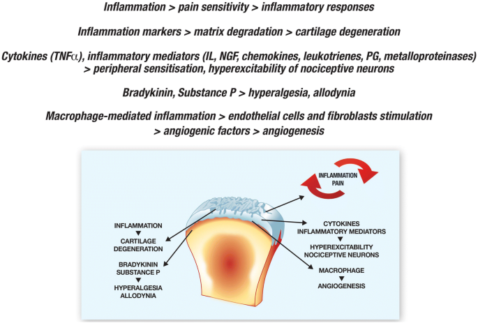 A Review of Chronic Musculoskeletal Pain: Central and Peripheral Effects of  Diclofenac | Pain and Therapy