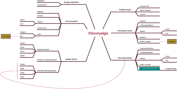 glutathione fibromyalgia Neuronutritional Approach to Fibromyalgia Management: A Narrative Review |  Pain and Therapy