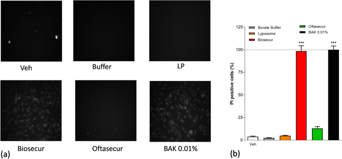Antiseptics and the Ocular Surface: In Vitro Antimicrobial Activity and  Effects on Conjunctival and Corneal Epithelial Cells of a New Liposomal  Ocular Spray Containing Biosecur® Citrus Extract | SpringerLink
