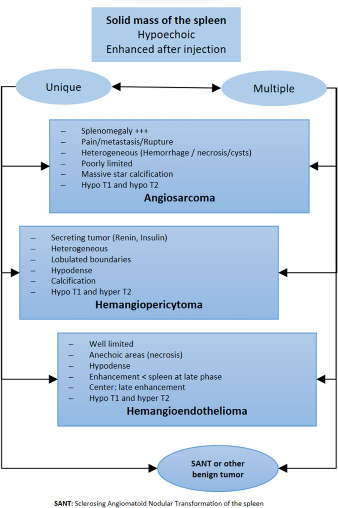 Sclerosing Angiomatoid Nodular Transformation of the Spleen: A ...