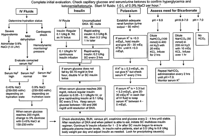 Diabetic Ketoacidosis A Review And Update Springerlink