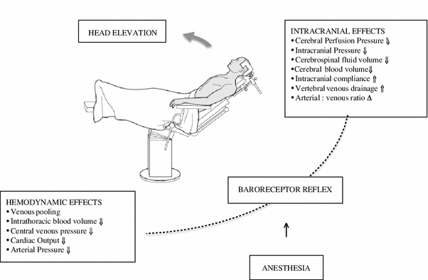 Effects Of Positioning On Cerebral Oxygenation Springerlink